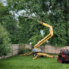 Artificial Turf Installation in Kingstowne, VA